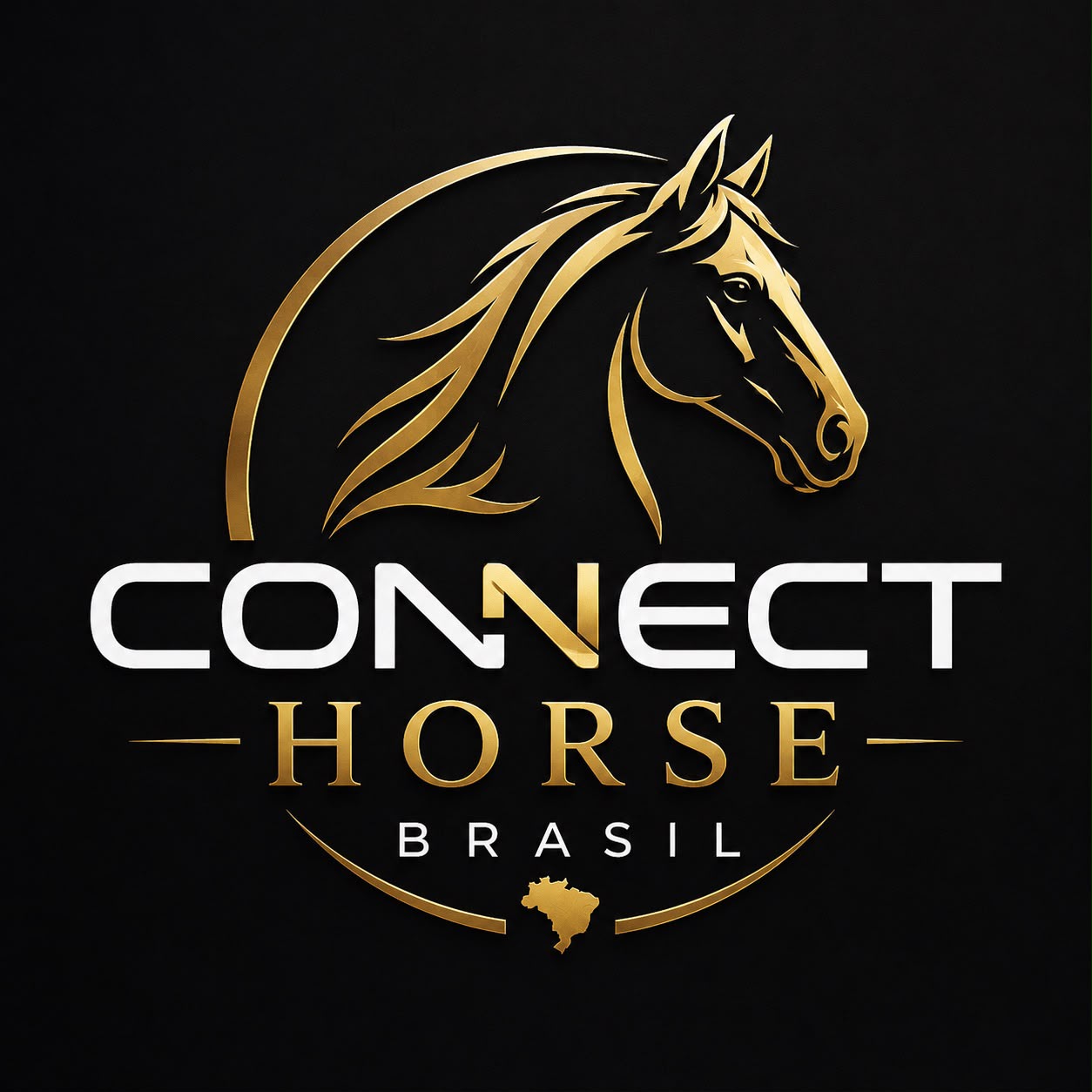 teste