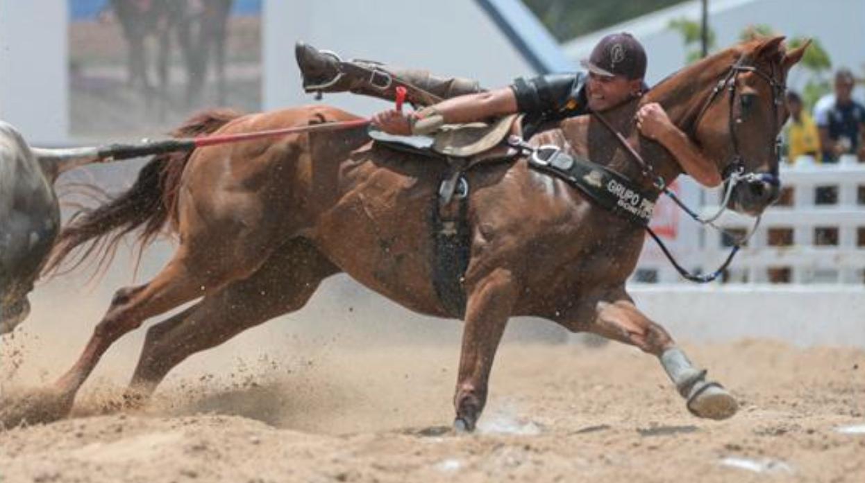 AQUILES SPEED CASH